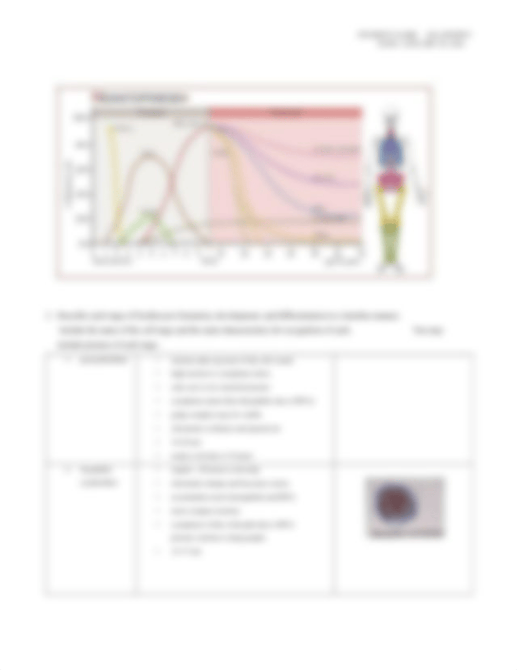 Introduction to hematology Assignment 1 _ example.pdf_d74y4a3zugn_page2