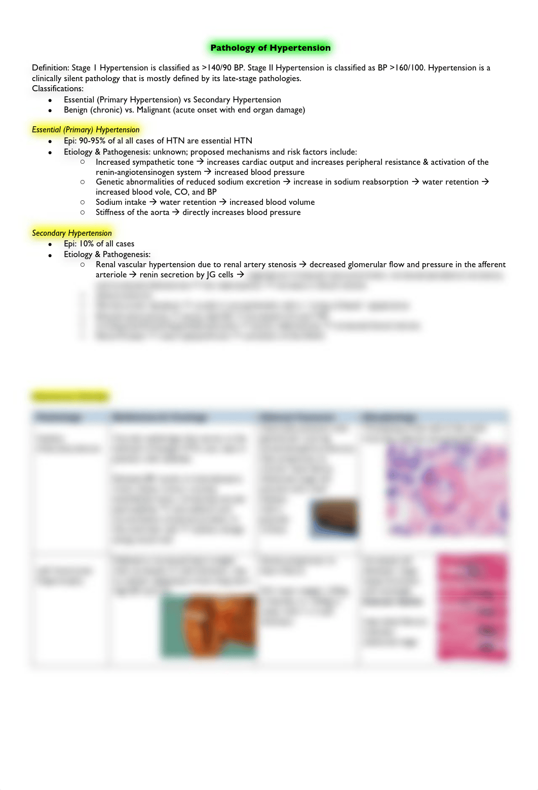 Pathology of Hypertension .pdf_d756sjup5sf_page1