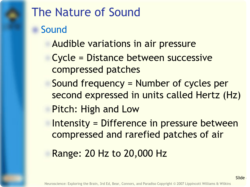 13 Chapter 11_ The Auditory and Vestibular Systems.pdf_d758ha0vc7q_page4