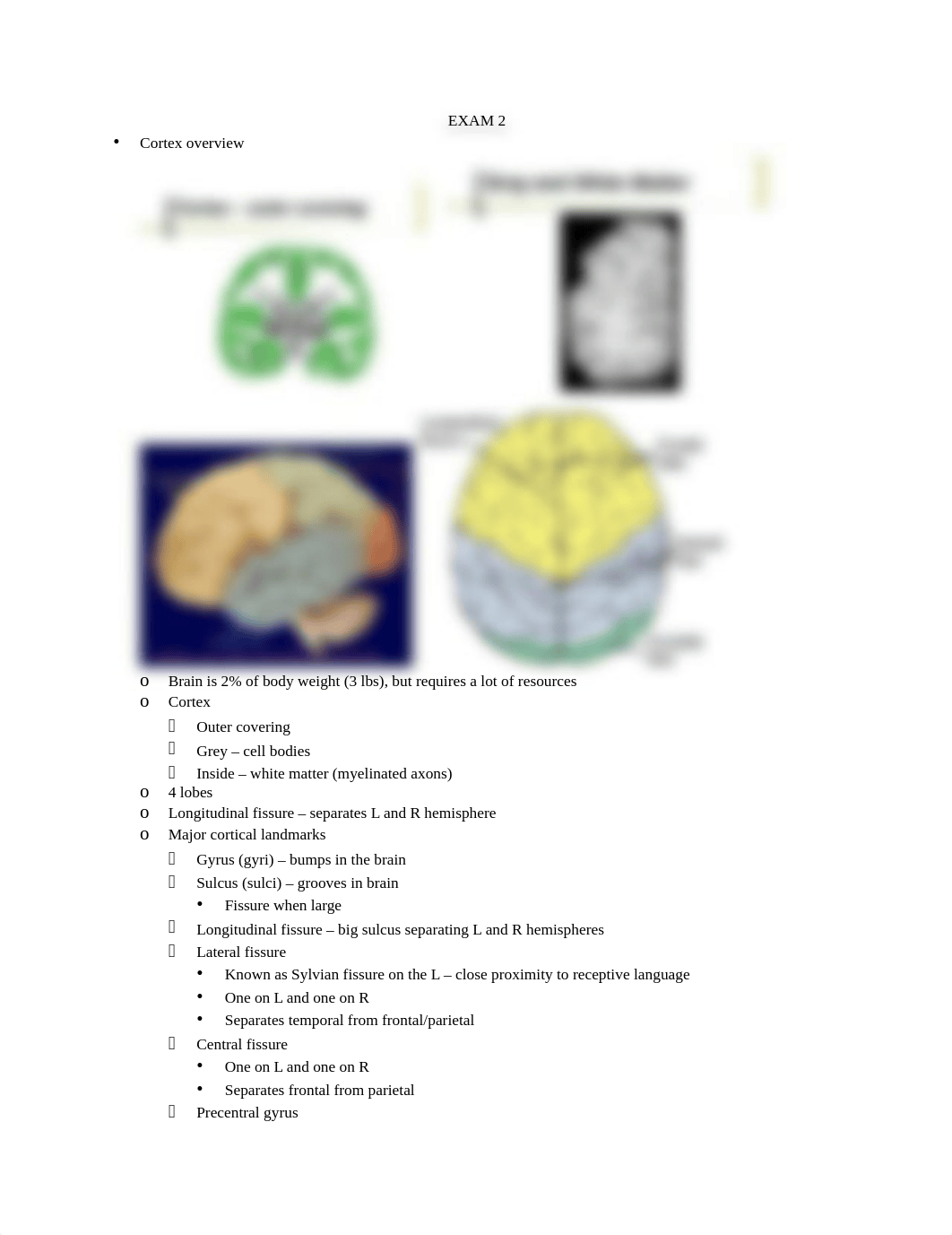 Neuro Exam 2 Notes_d75ajla6xpa_page1