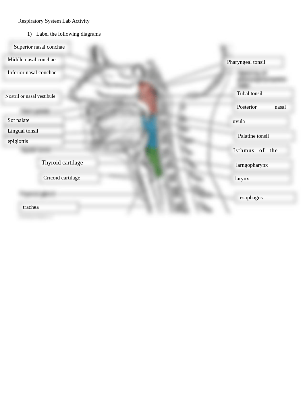 RESP-BARFIELD-EMILY.docx_d75fok6okl3_page1