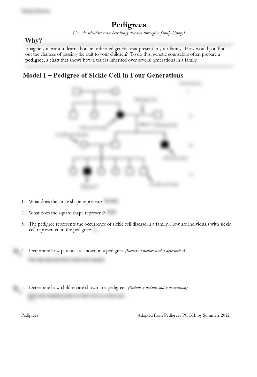 Pedigrees POGIL Text Fields.pdf_d75ftwmulow_page1