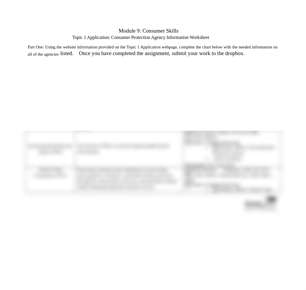comsumer protection agency worksheet.doc_d75hkv59bxa_page1