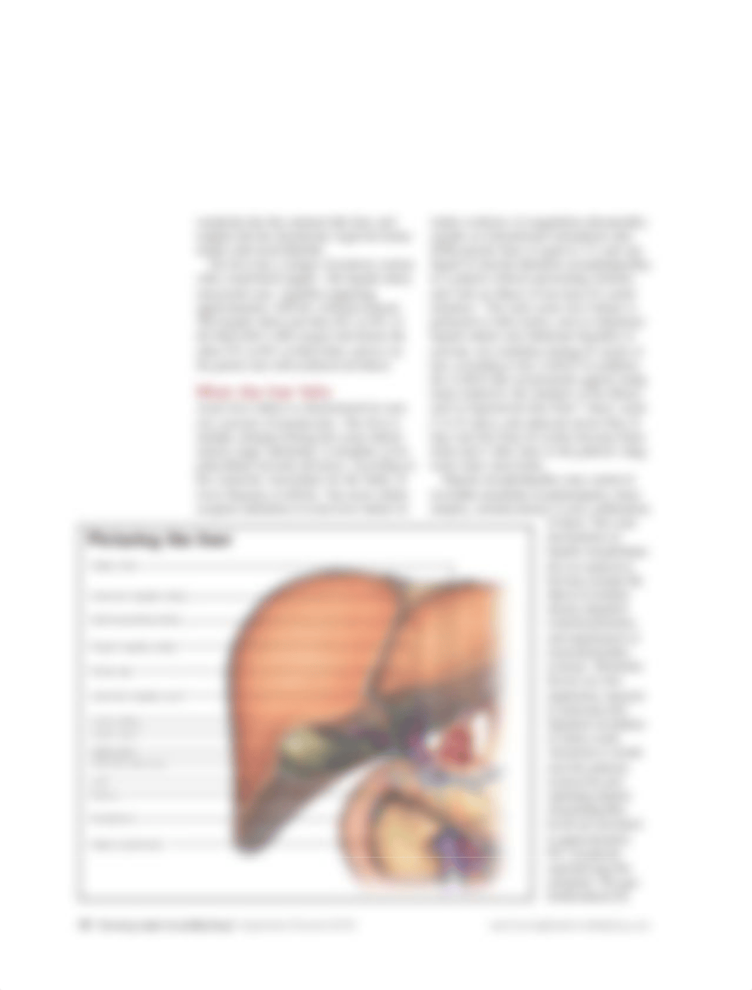 Acute Liver Injury.pdf_d75jchl6fqc_page3