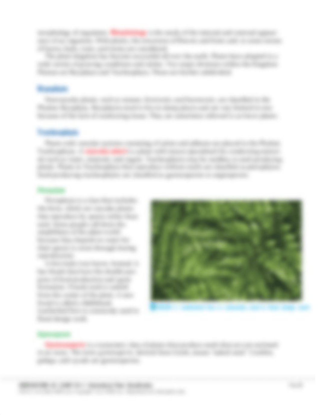 Hort Plant Classification.pdf_d75ovncxp4b_page3