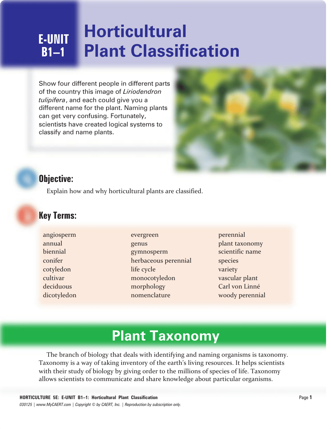 Hort Plant Classification.pdf_d75ovncxp4b_page1