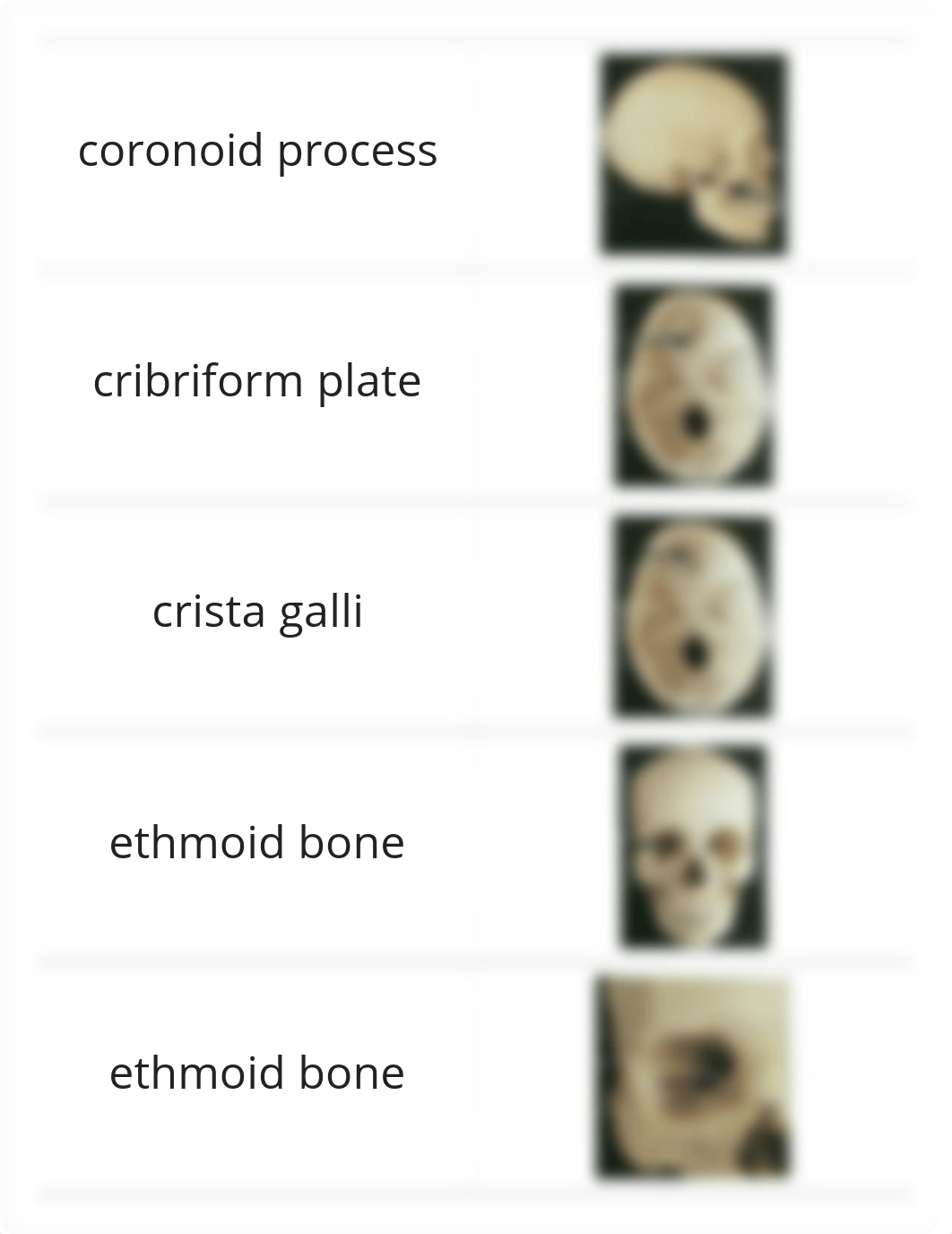 bio 231 RIC Skull Lab 1_d75qoa2kdp3_page2