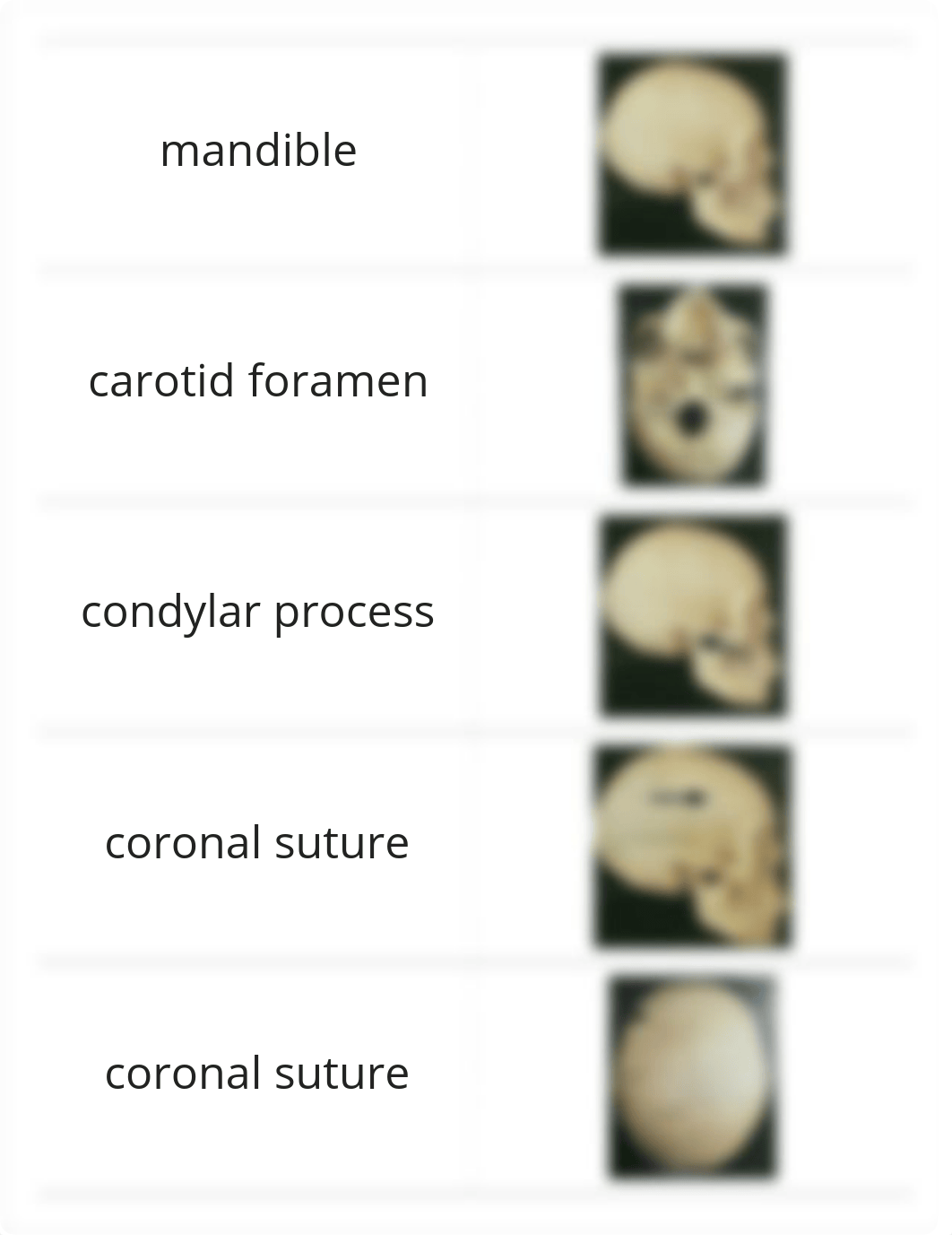 bio 231 RIC Skull Lab 1_d75qoa2kdp3_page1