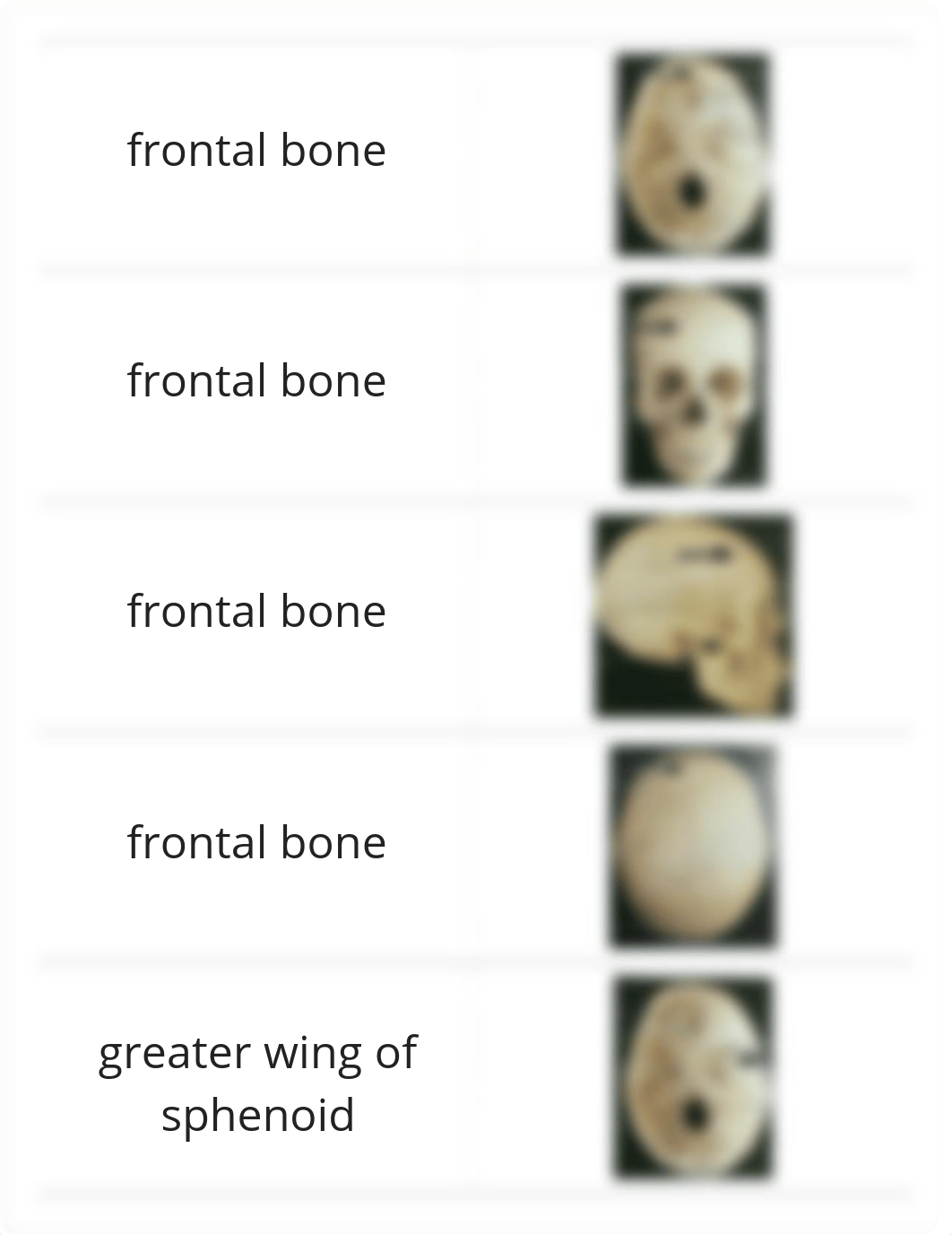 bio 231 RIC Skull Lab 1_d75qoa2kdp3_page5