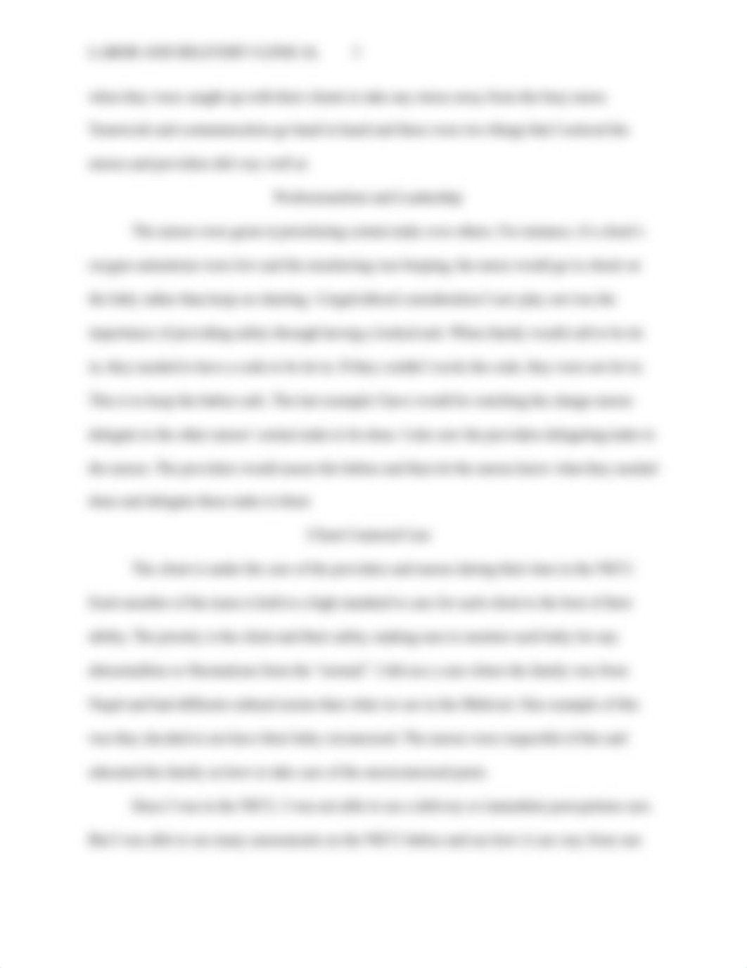 Labor and Delivery Clinical.docx_d75sewq84a0_page3