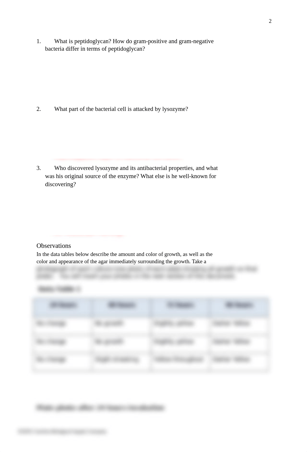 Lysozyme answer sheet.docx_d75xqmm27w5_page2