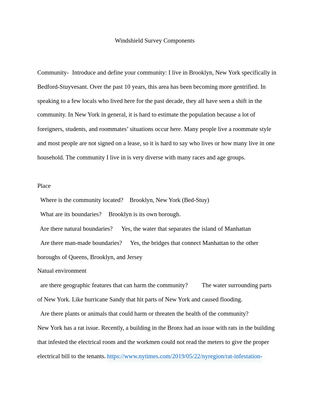 windshield survey KC.docx_d75zsqwuocf_page2