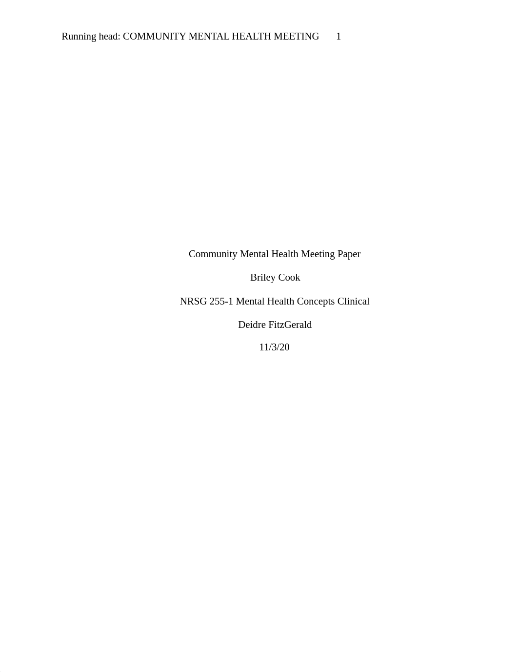 Community Mental Health Meeting Paper.docx_d75zstgjrlx_page1