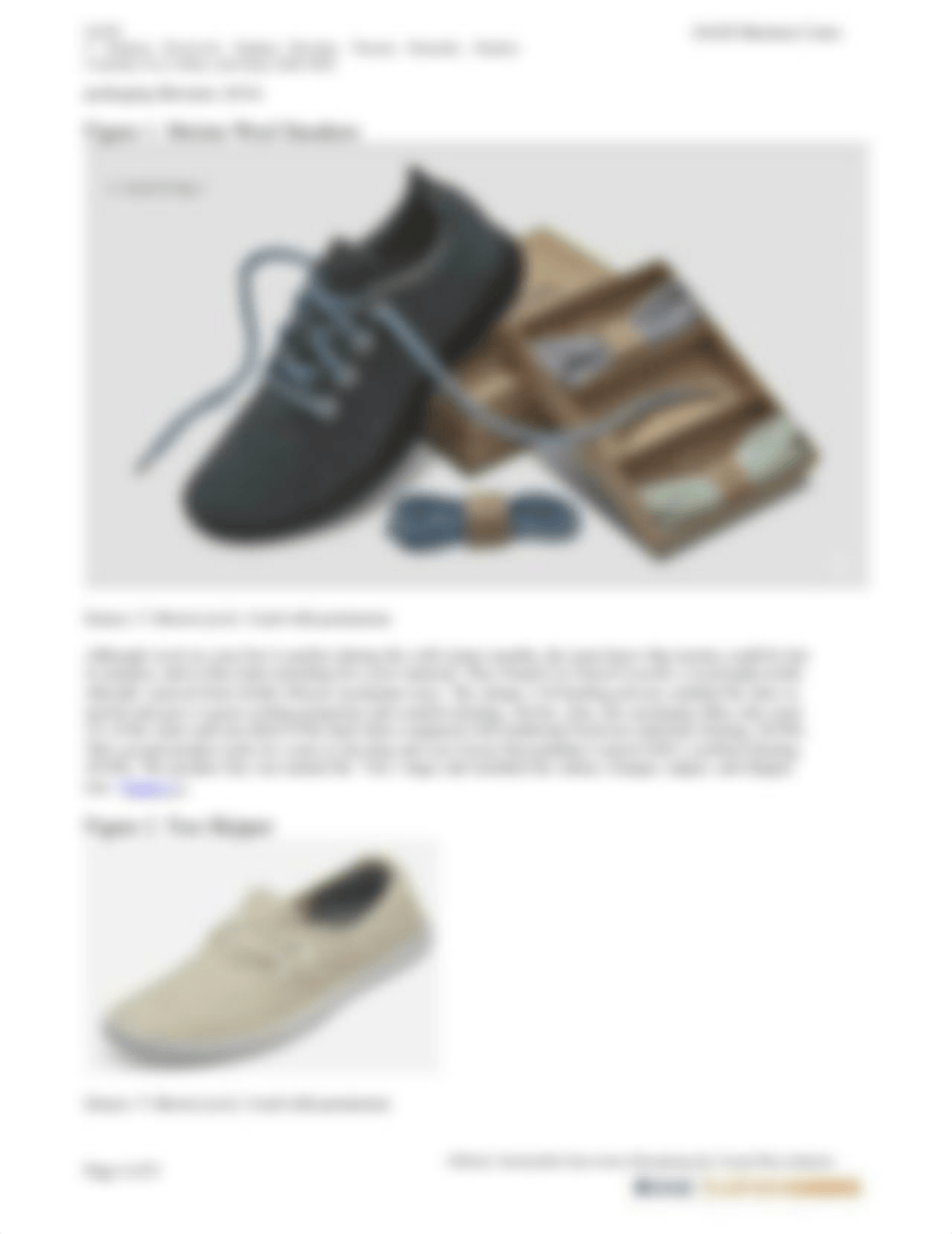 Allbirds.pdf_d7639oojvr7_page4