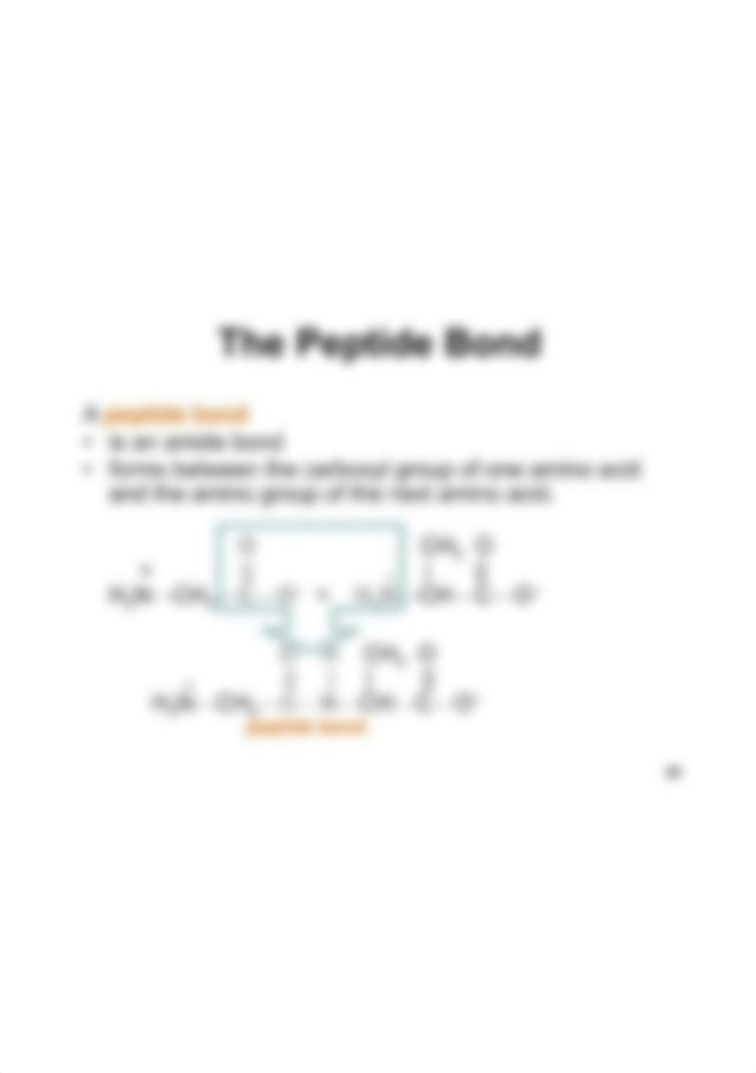 peptide bond.png_d763vhk8o76_page1