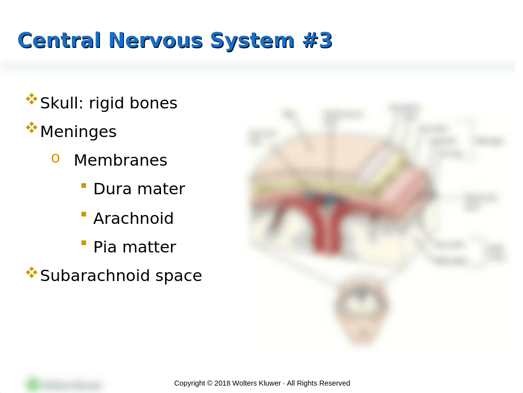 PPT_Chapter_36.pptx_d76atp91wf2_page5