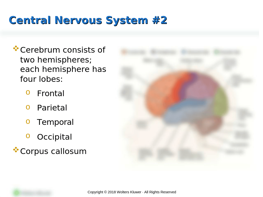 PPT_Chapter_36.pptx_d76atp91wf2_page4