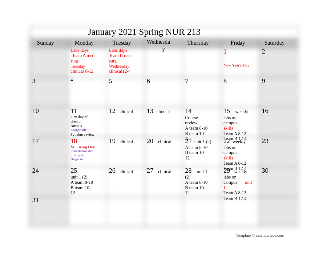 2021 Nur 213 spring 2021.doc_d76b62kh7vw_page1