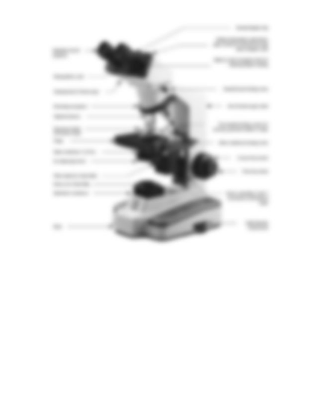 MICROSCOPY, SIMPLE STAIN AND GRAM STAIN.pdf_d76cifx77ad_page2