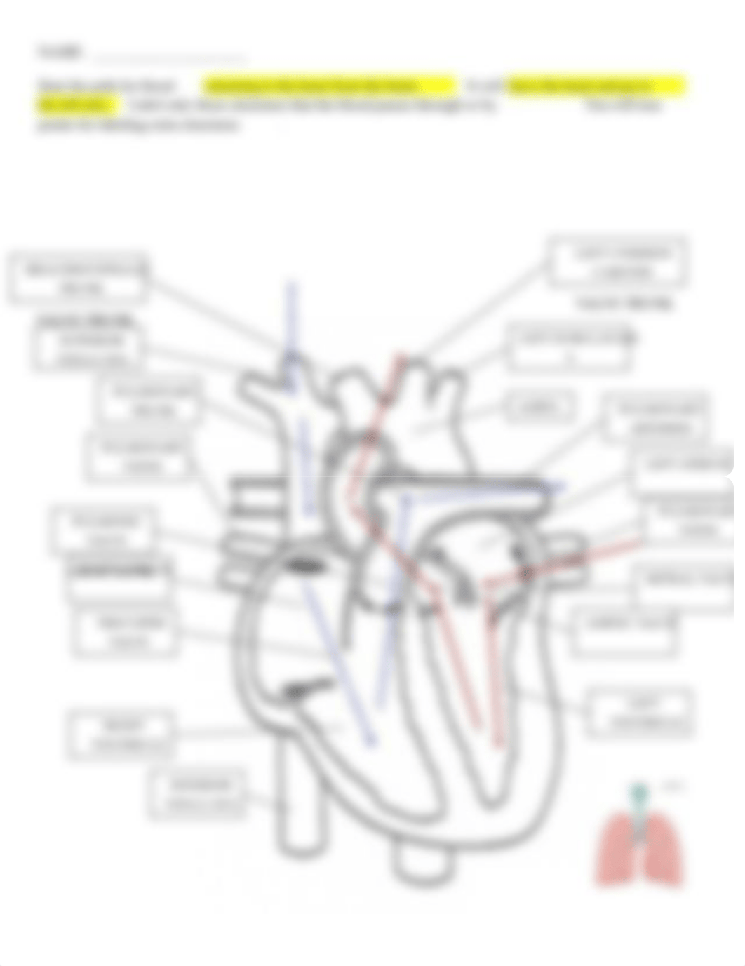 Blood flow with arrows Lab 3 .doc_d76m0g7567c_page2