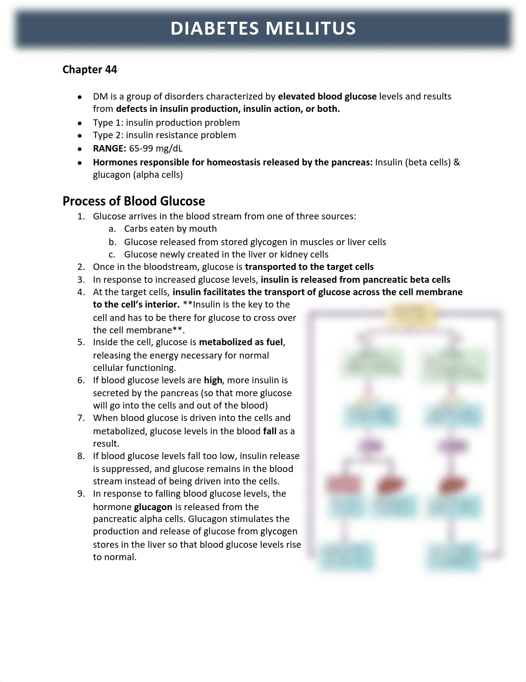 Diabetes Mellitus NUR 113.pdf_d76wmzcov1j_page1