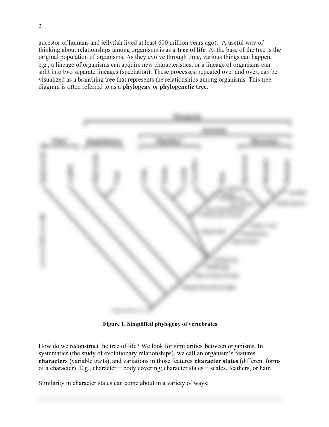 new 3.pdf_d76wpv01qqe_page2