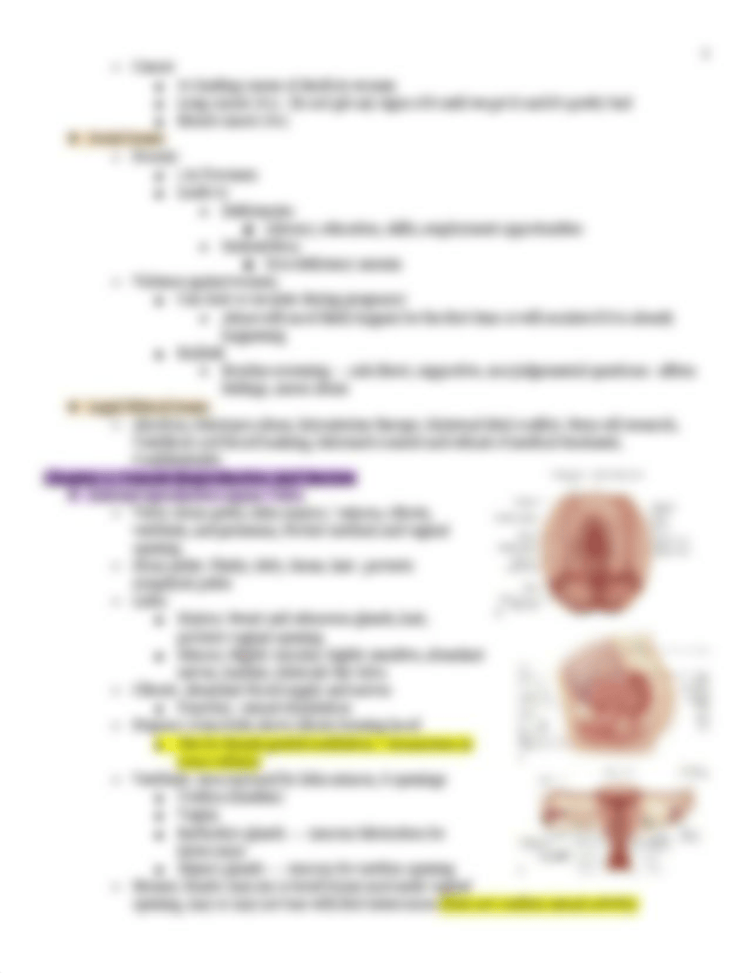 OB FINAL STUDY GUIDE.pdf_d76yr95cqev_page3