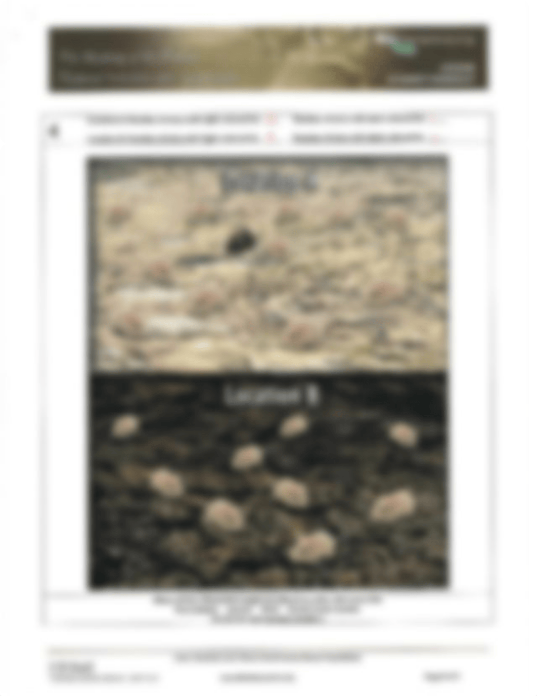 Rock Pocket Mouse Photos (1).pdf_d77098s9wsb_page4