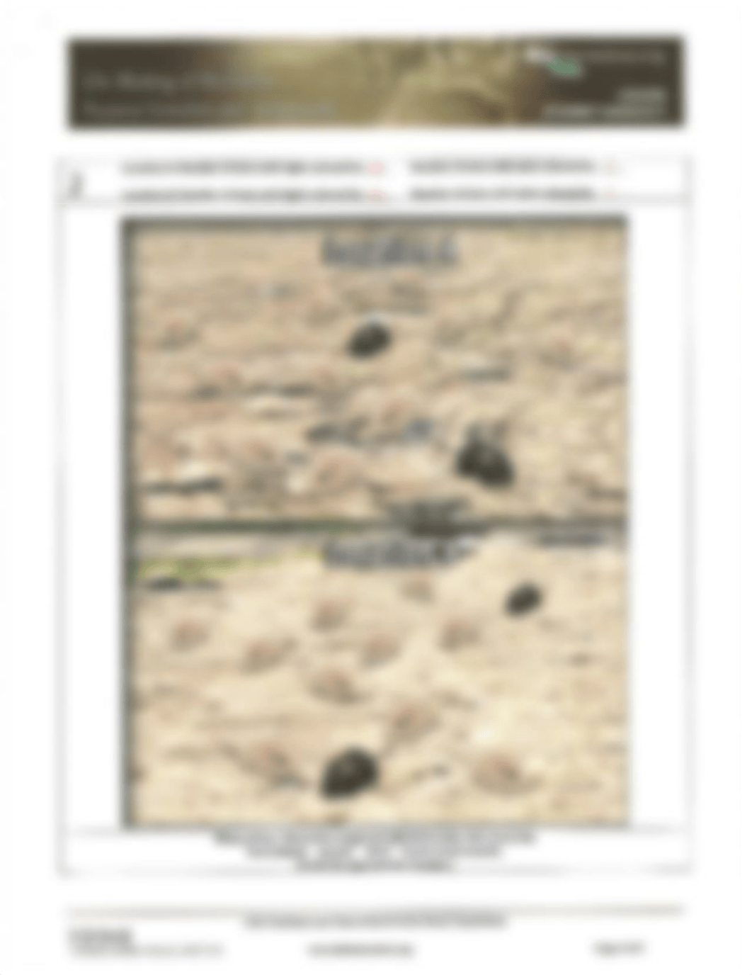 Rock Pocket Mouse Photos (1).pdf_d77098s9wsb_page2