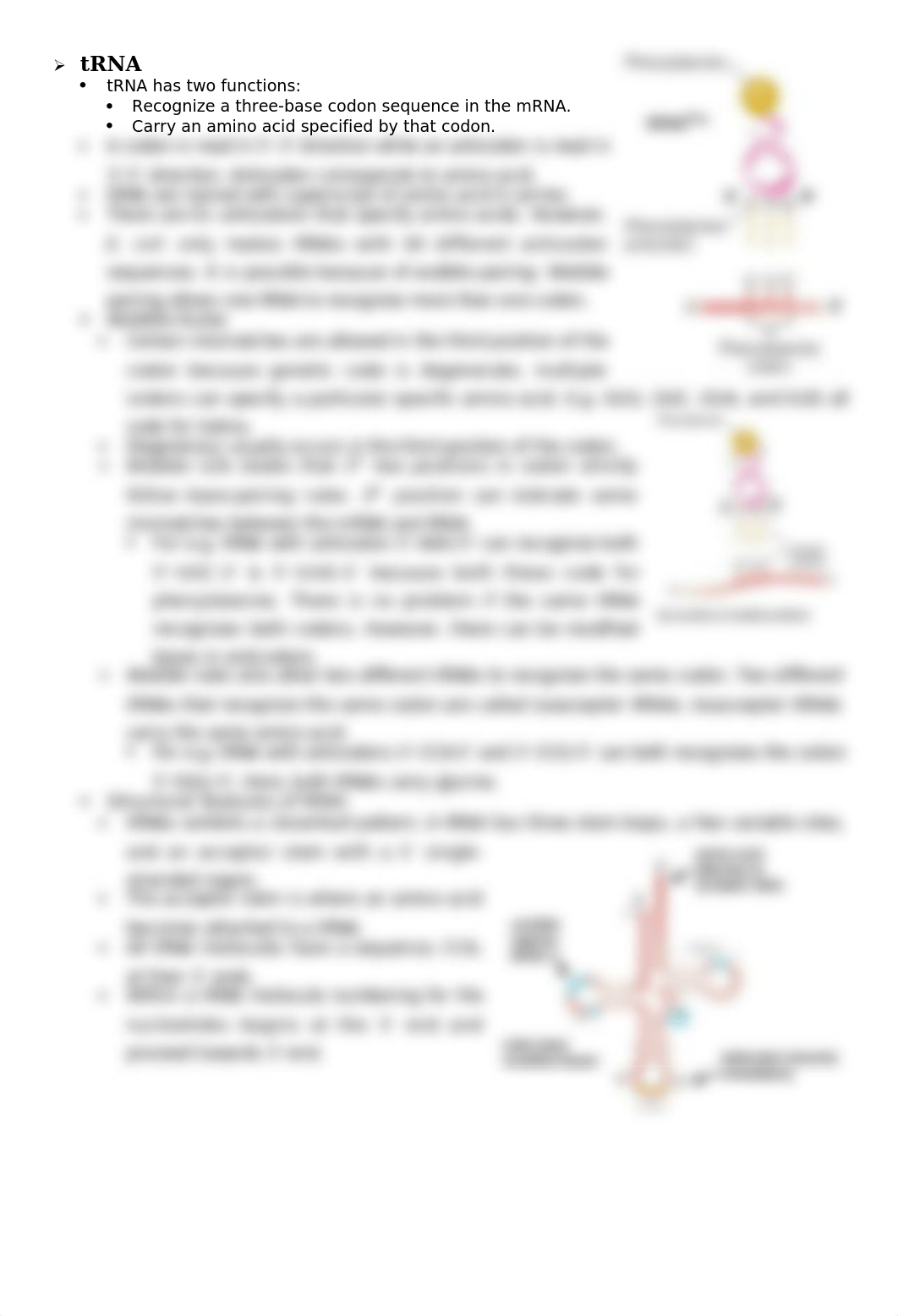 Lecture_24_ Translation.docx_d770w3816ls_page3