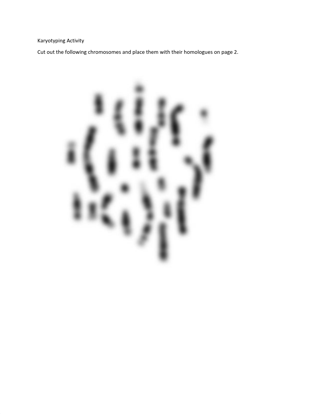 Karyotyping-Activity.pdf_d77dis7exd1_page1