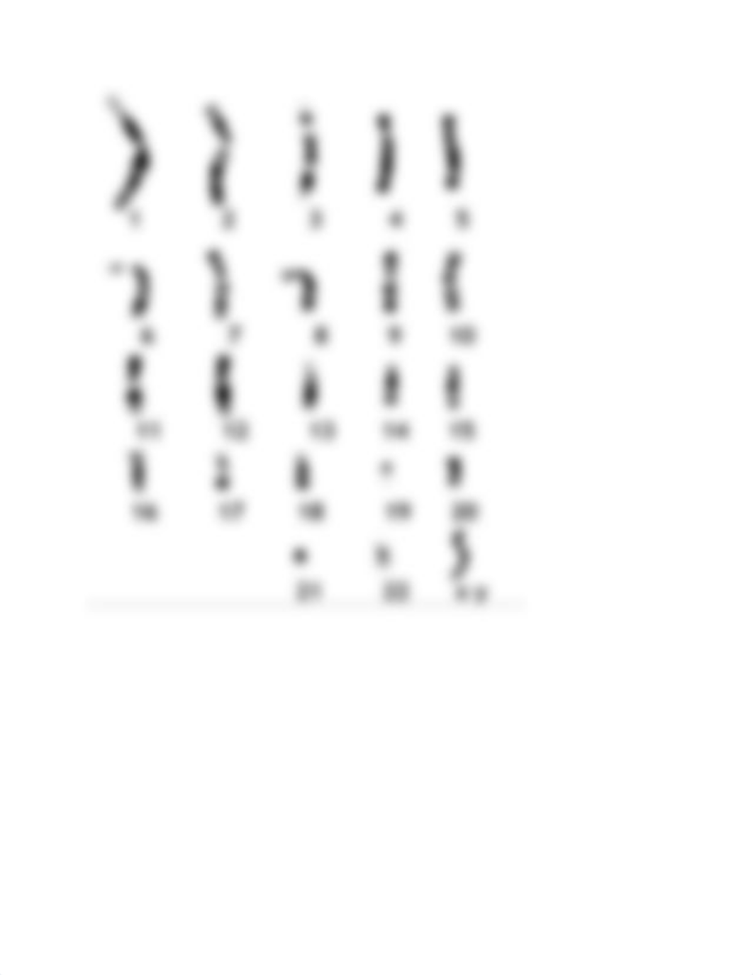 Karyotyping-Activity.pdf_d77dis7exd1_page2