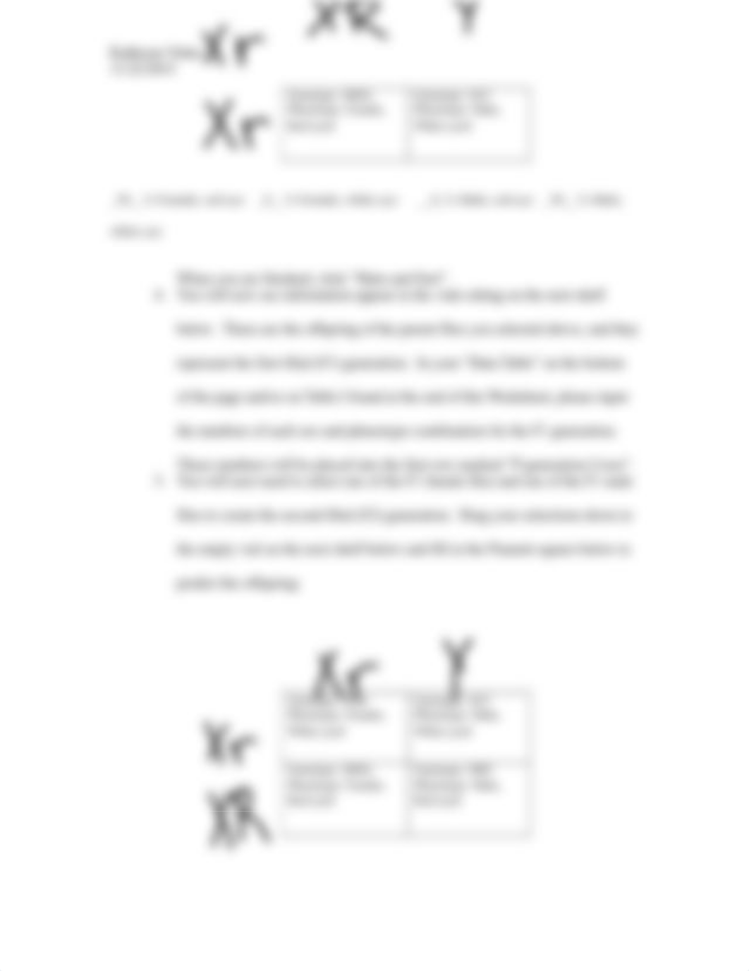 SexlinkedtraitsWorkSheet_d77dnj4582y_page2