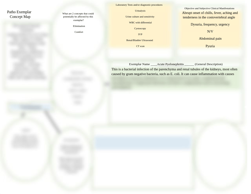 Kue Pyelonephritis Concept Map.docx_d77n20atuqx_page1