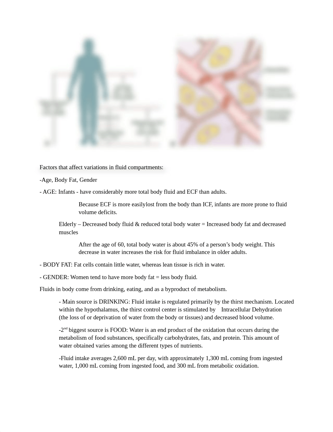 FE Acid Base BALANCE Taylor Chapter 39 NUR 113.docx_d77rxpp6ihr_page2