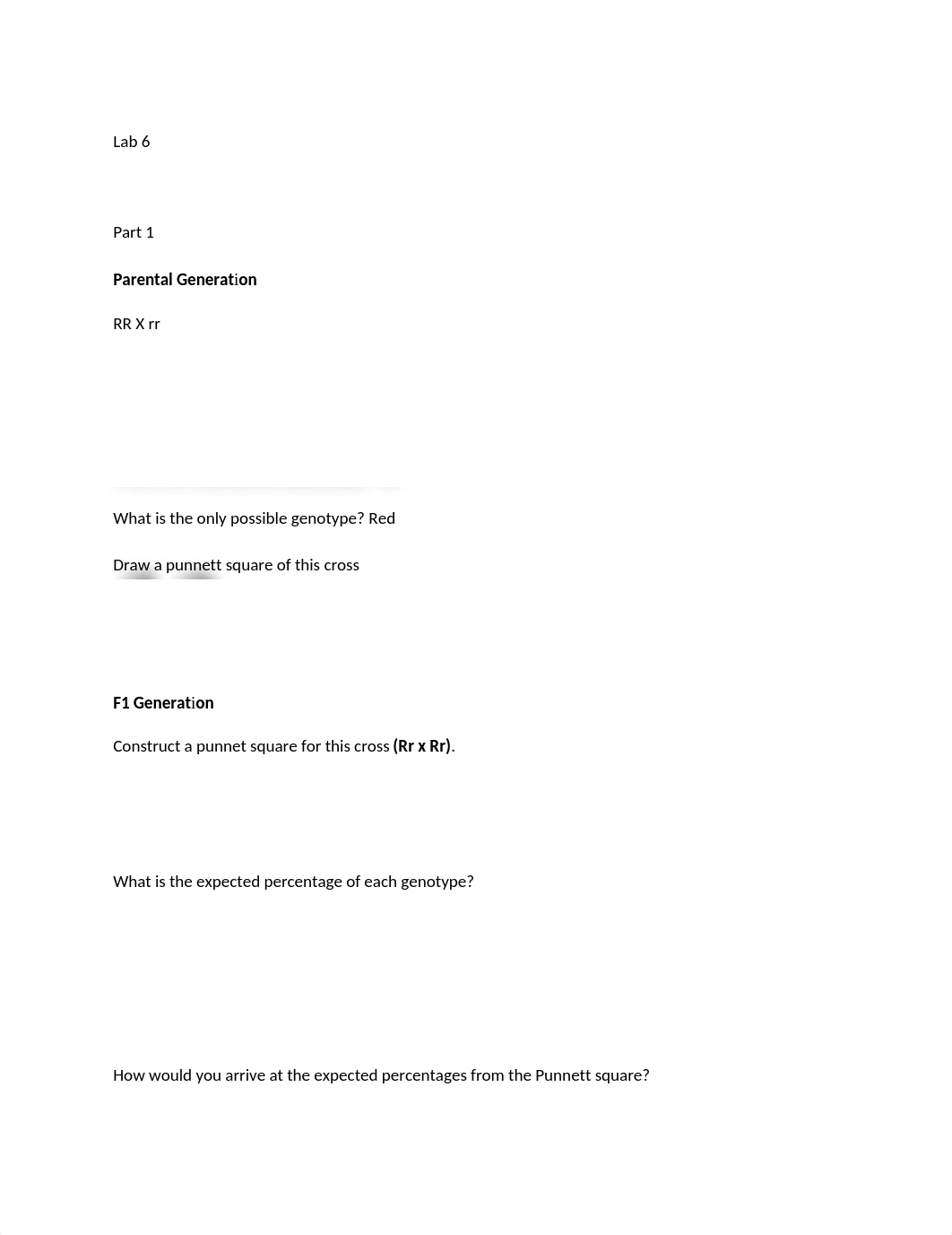 lab6.docx_d77y109ajit_page1