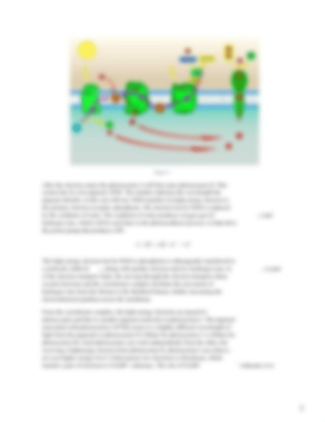 Photosynthesis Pigments.docx_d785ngig2iy_page5