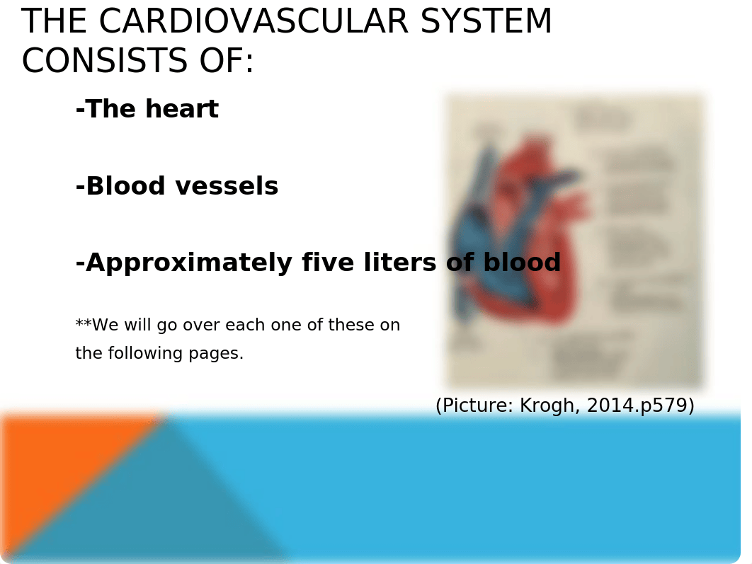 Cardiovascular System PowerPoint-Bio 101.pptx_d78ljni85z4_page3