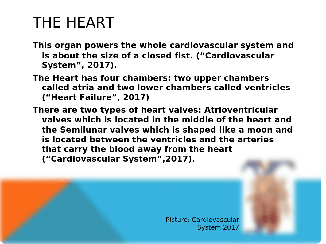 Cardiovascular System PowerPoint-Bio 101.pptx_d78ljni85z4_page4