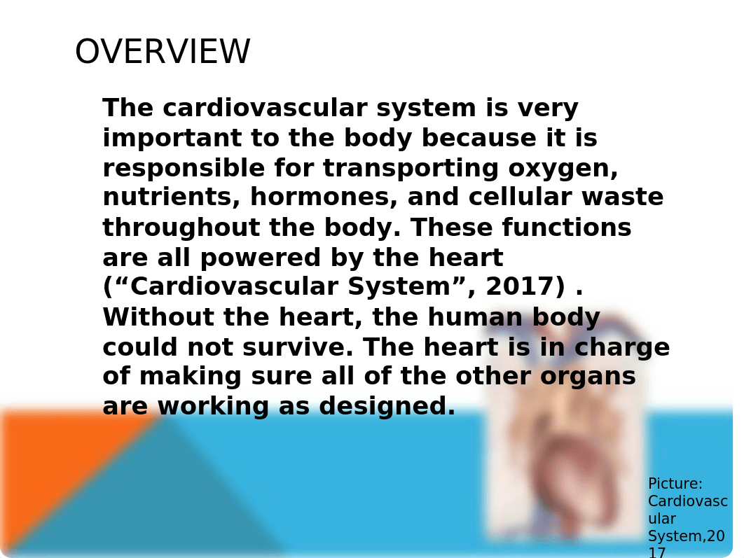 Cardiovascular System PowerPoint-Bio 101.pptx_d78ljni85z4_page2