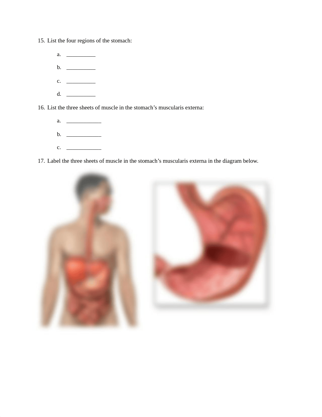 Digestive System Review Sheets.pdf_d78lozjno4q_page4