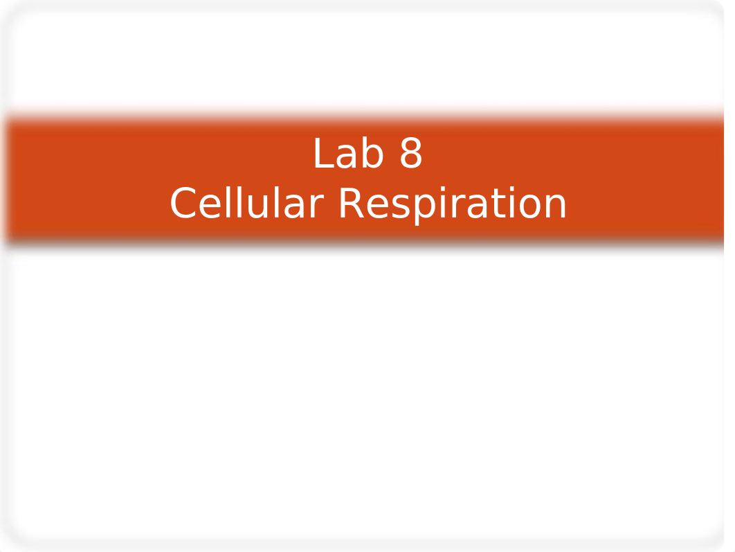 Lab8_Cellular Respiration_updated.ppt_d78qev24z5g_page1