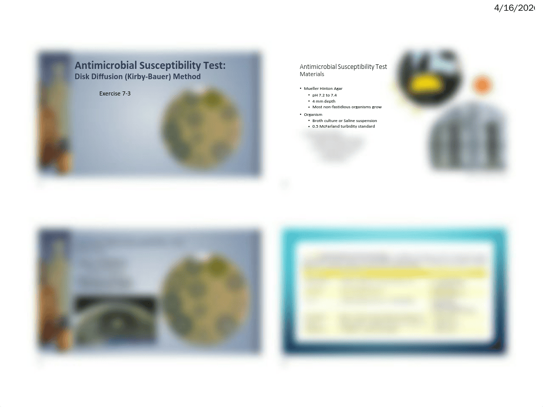 Antimicrobial Susceptibility Test.pdf_d78qobhfmqa_page1