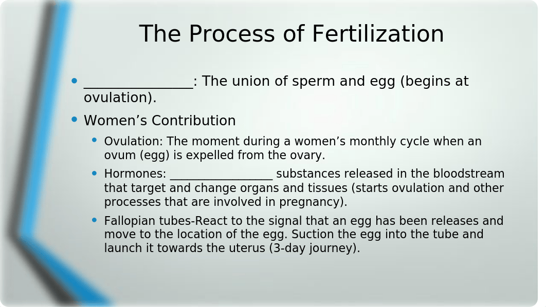 Chapter 2 Prenatal Development Pregnancy and Birth 6-25_StudentVersion.pptx_d78st3charq_page4