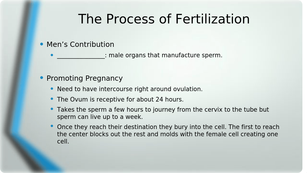 Chapter 2 Prenatal Development Pregnancy and Birth 6-25_StudentVersion.pptx_d78st3charq_page5