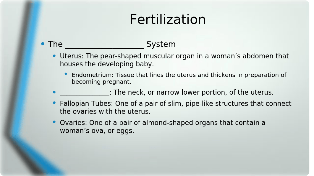 Chapter 2 Prenatal Development Pregnancy and Birth 6-25_StudentVersion.pptx_d78st3charq_page3