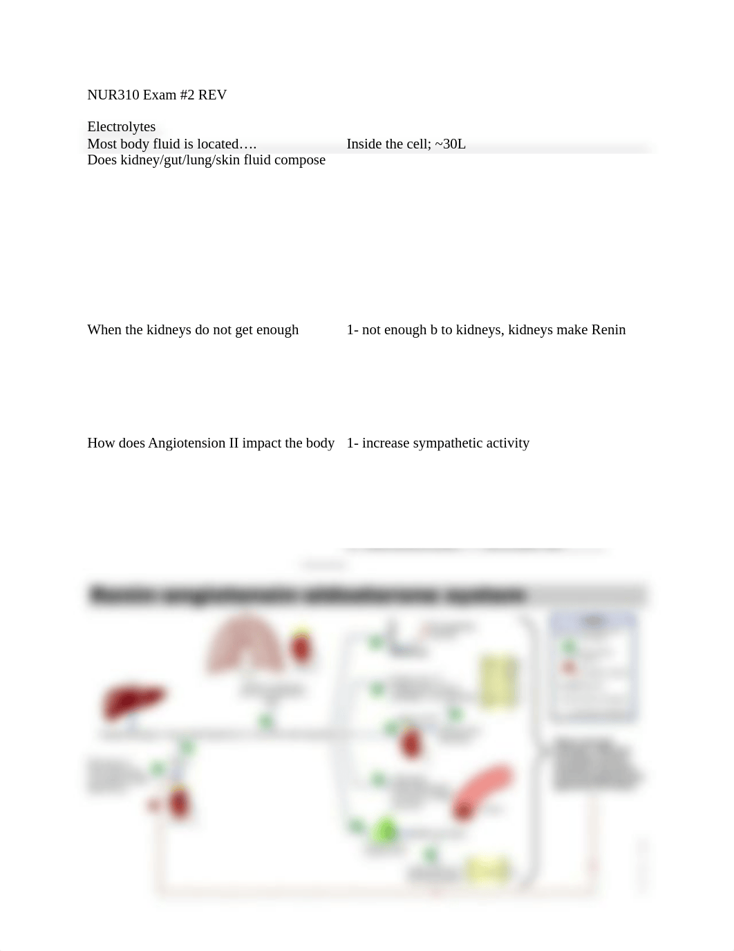 NUR310 Exam2 Review.doc_d78uh9em4z2_page1