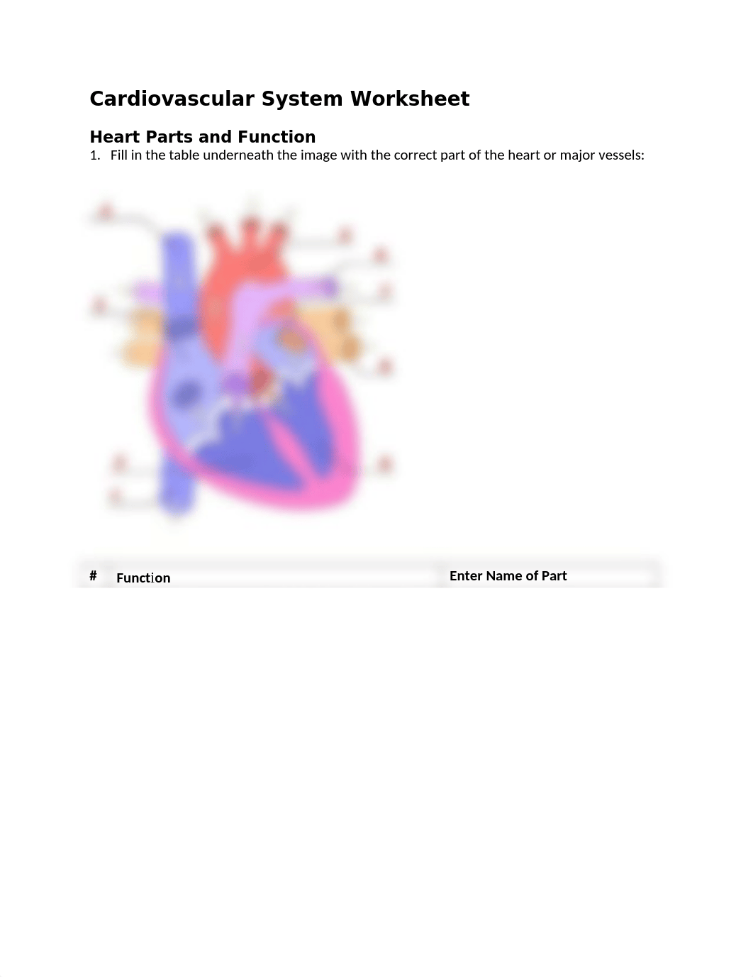 Cardiovascular_System_Basics_worksheet.docx_d7943pfy2oq_page1