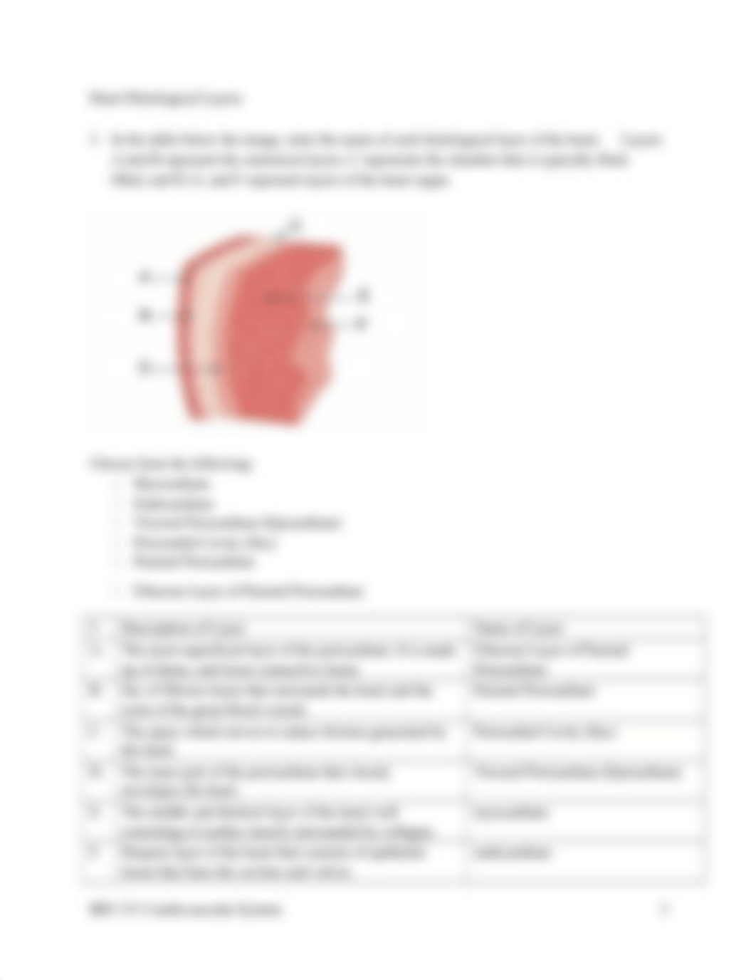 Cardiovascular_System_Basics_worksheet.docx_d7943pfy2oq_page3