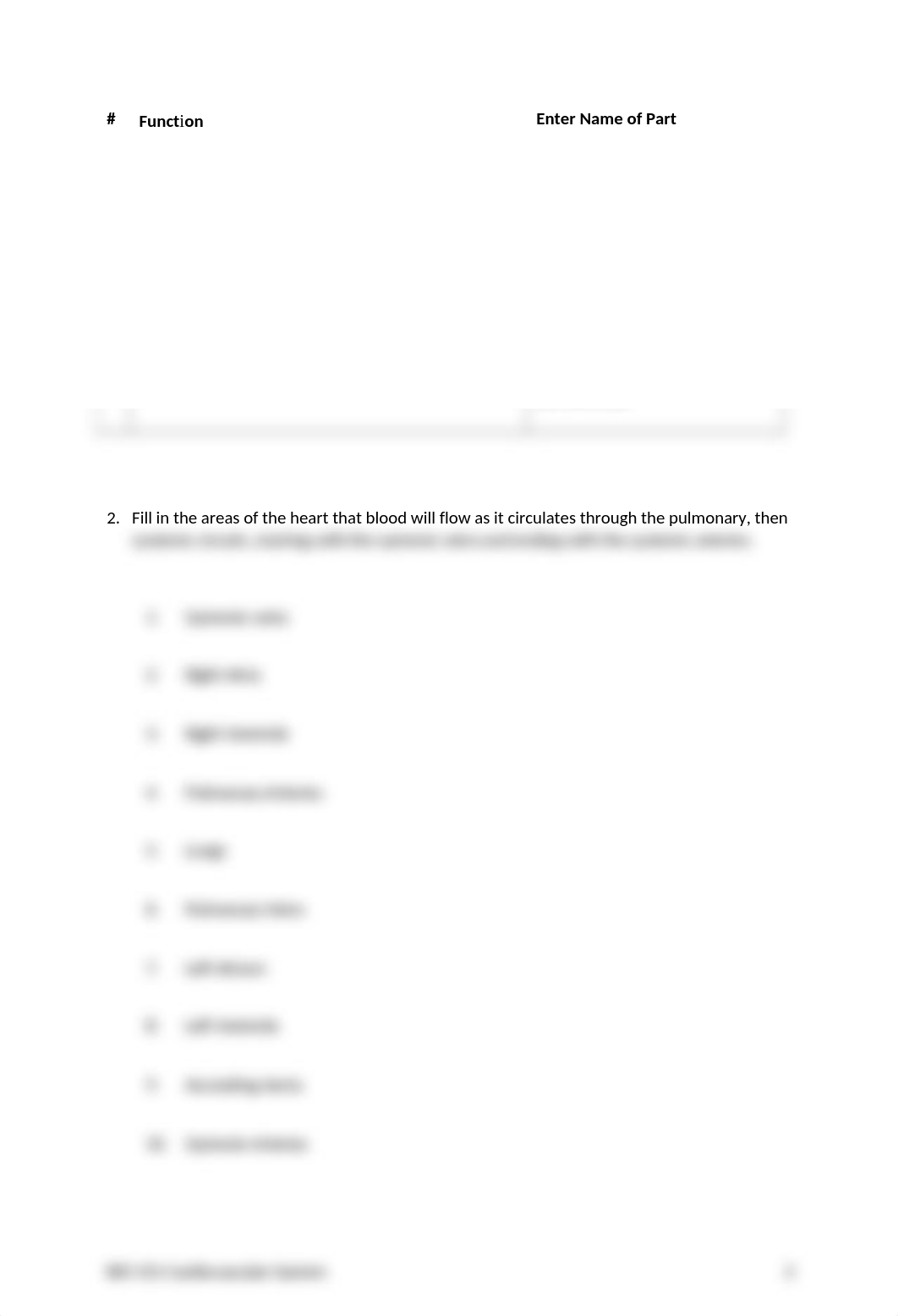 Cardiovascular_System_Basics_worksheet.docx_d7943pfy2oq_page2